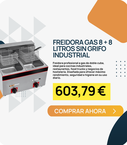 freidora para hosteleria